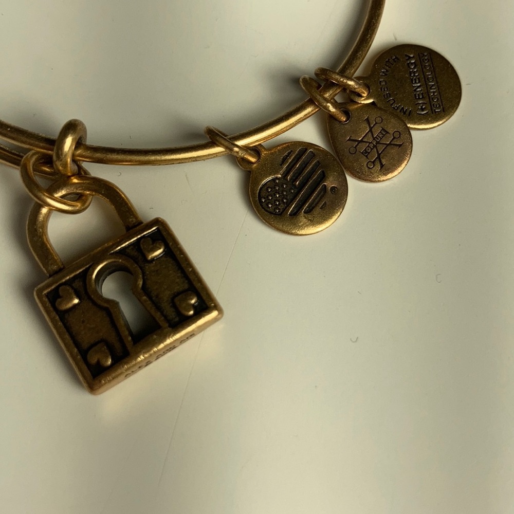 Alex and Ani Unbreakable Love Charm Bangle - Picture 3 of 9